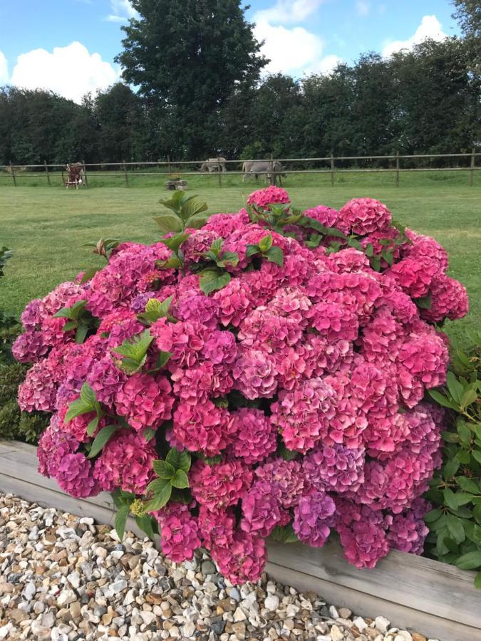 La Grange Aux Hortensias Villa Thiergeville Exteriör bild