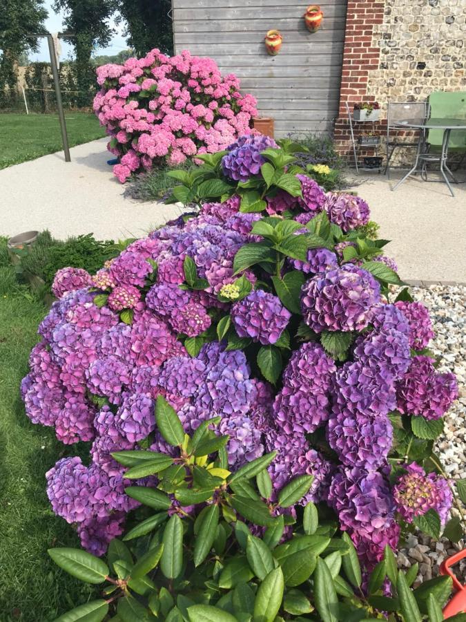 La Grange Aux Hortensias Thiergeville Exteriör bild