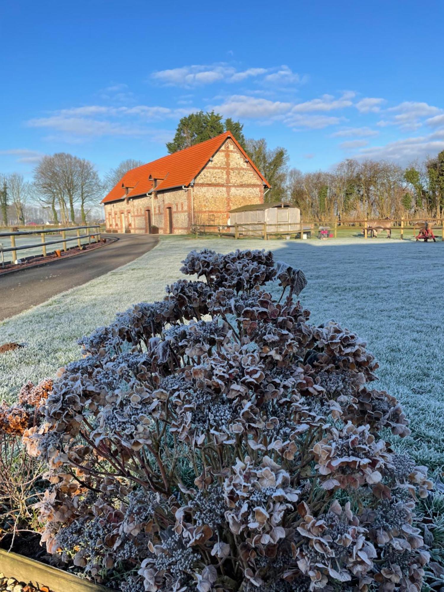 La Grange Aux Hortensias Thiergeville Exteriör bild